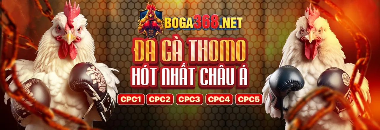 Đá gà trực tuyến KBbet kịch tính
